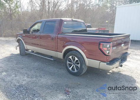 2009 Ford F-150 King Ranch/Lariat/Platinum/Xl/Xlt z USA, uszkodzony, nr VIN 1FTPW12V89FA51204